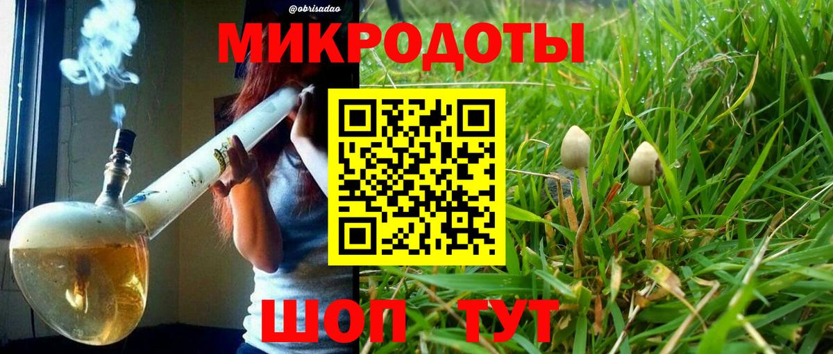 Чита  Галлюциногенные грибы Psilocybe  Вход с VPN 