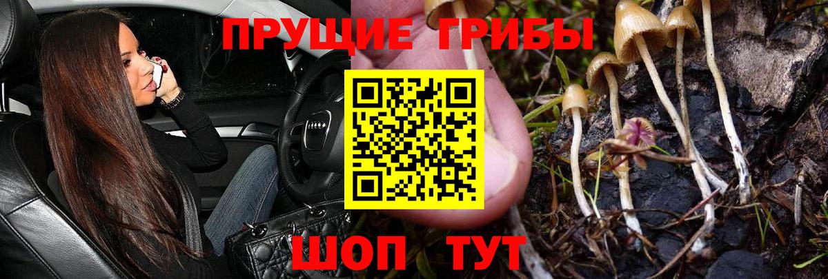 Псилоцибиновые грибы мухоморы Чита